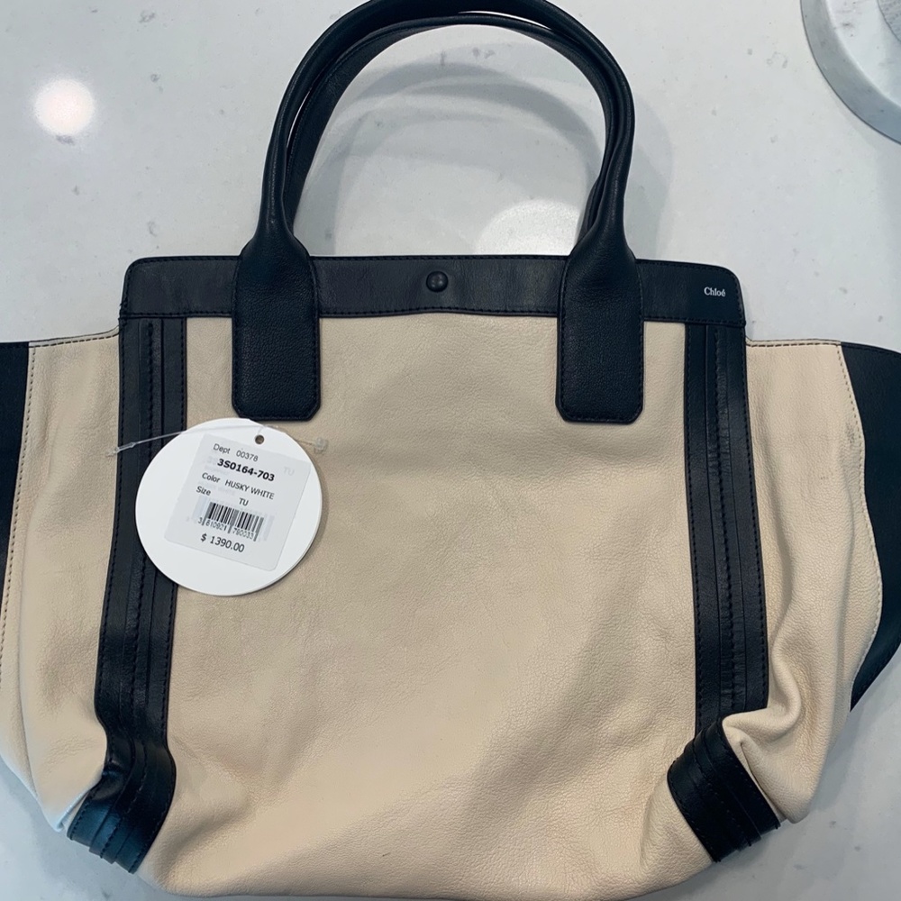 Chloe Alison Bag in Husky White